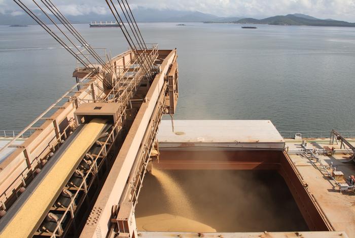 Exportações brasileiras de soja em grão disparam em março