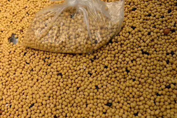 Datagro reduz previsão de exportação do complexo soja para 91,9 mi de toneladas