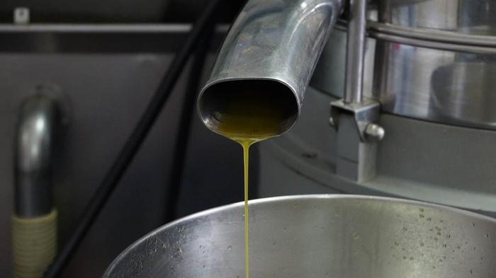 Produção de biodiesel demandou 1,9 mi toneladas de soja em março