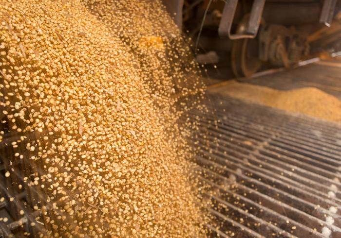 Cargill vê margens maiores no Brasil com dólar e demanda em alta