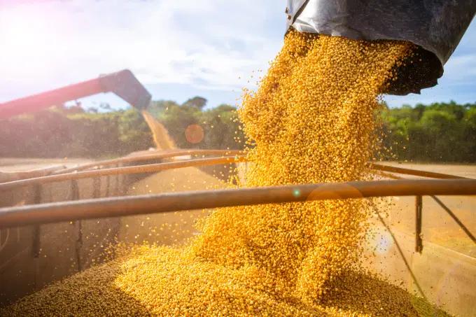 Exportação de soja do Brasil deve avançar 4% no ano para 77 mi t, diz Abiove