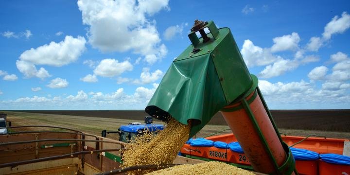Disputa por soja entre exportador e indústria avançará ao 2º semestre, diz ED&F