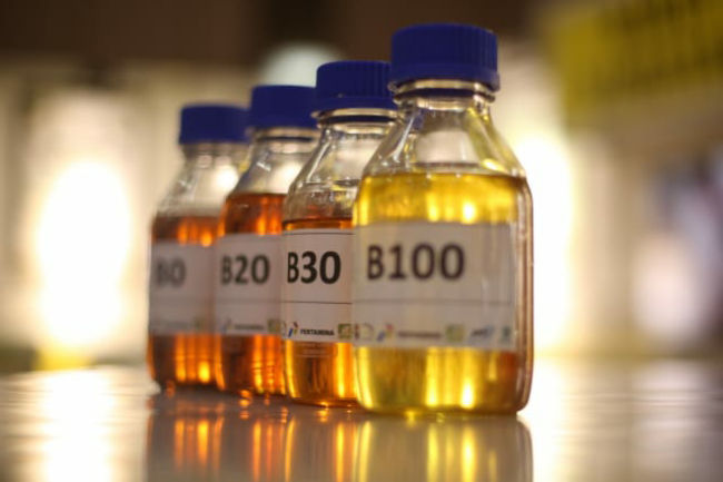 Indonésia estuda reforçar política de subsídios ao biodiesel