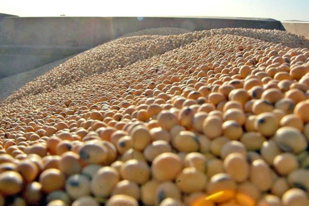 China teme falta de soja no país por causa do aumento da covid-19 no Brasil