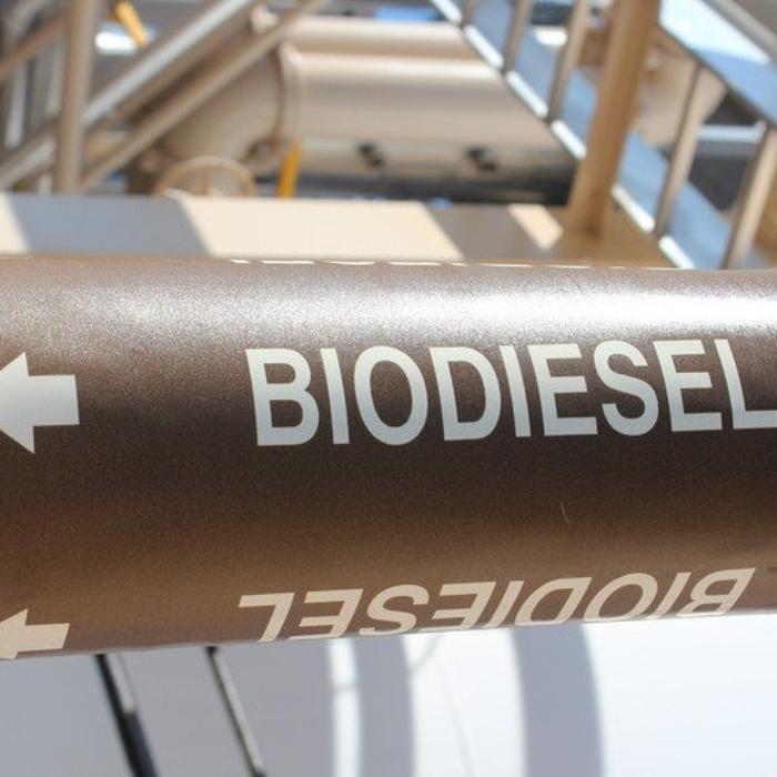 Usinas cortam oferta de biodiesel em 5,5% no L73