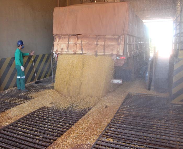 Exportações de soja no 1º semestre superam 60 milhões de toneladas