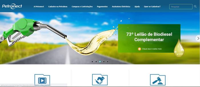 Leilão complementar esgota 96,4% da oferta