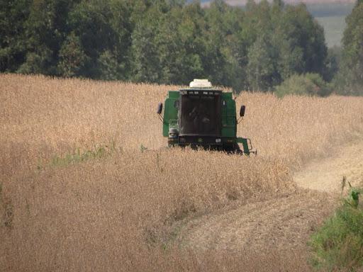 USDA: safra de soja brasileira deve chegar a 126 mi tons