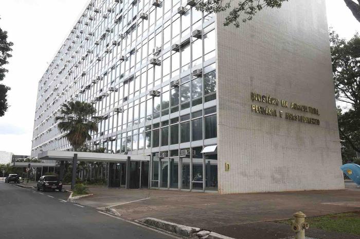 Soja vai puxar aumento da área plantada no Brasil na próxima década, diz ministério