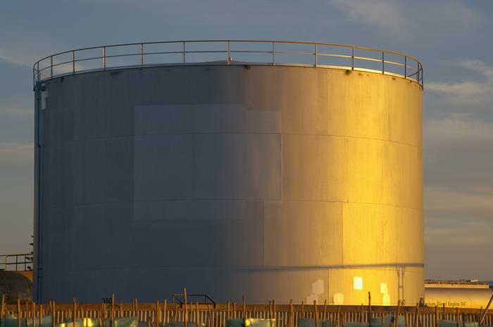 Grupo empresarial paraense prepara entrada no setor de biodiesel
