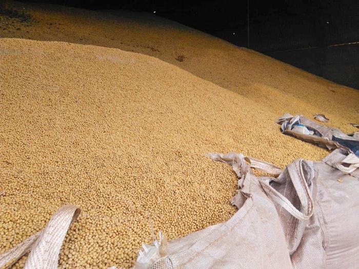 China desabastece mercado interno de soja, e Brasil apela à importação