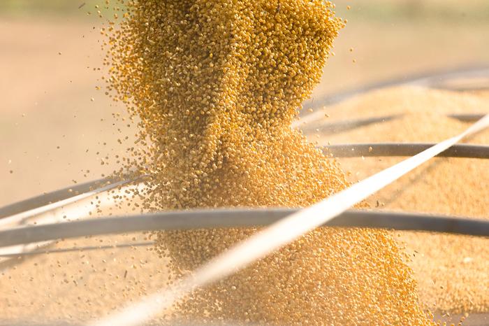 Brasil já era líder mundial na produção de soja e não sabia