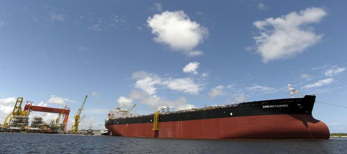 Projeto para fortalecimento da macaúba será implantado no Ceará