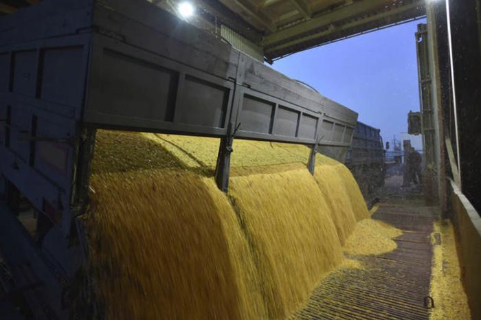 Óleos vegetais se valorizaram 27% em três meses