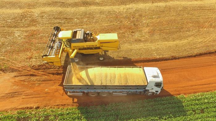 Cofco vende soja brasileira e compra norte-americana
