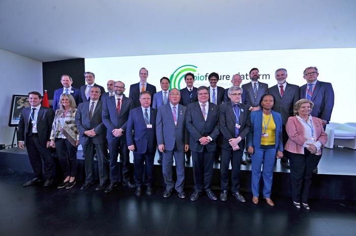Países querem dobrar uso de bioenergia até 2030