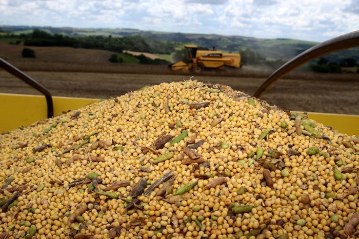 Com forte alta em Chicago, soja é negociada a R$ 160 no mercado interno