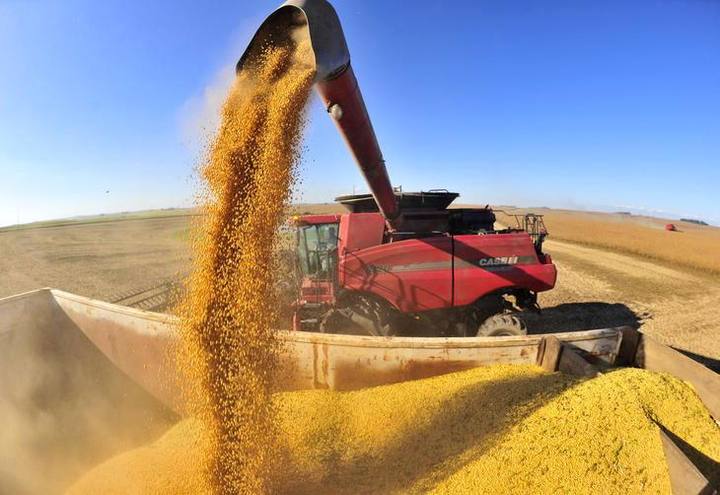 Safra de soja do Brasil será recorde, com chuvas aguardadas para disparar plantio, aponta pesquisa