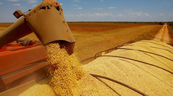Soja: valor da saca sobe na maioria das praças de comercialização