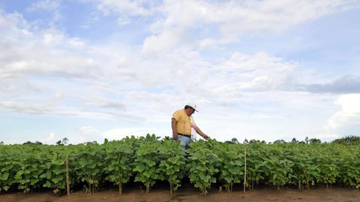 Agricultura vai digitalizar prestação de contas do Selo Social