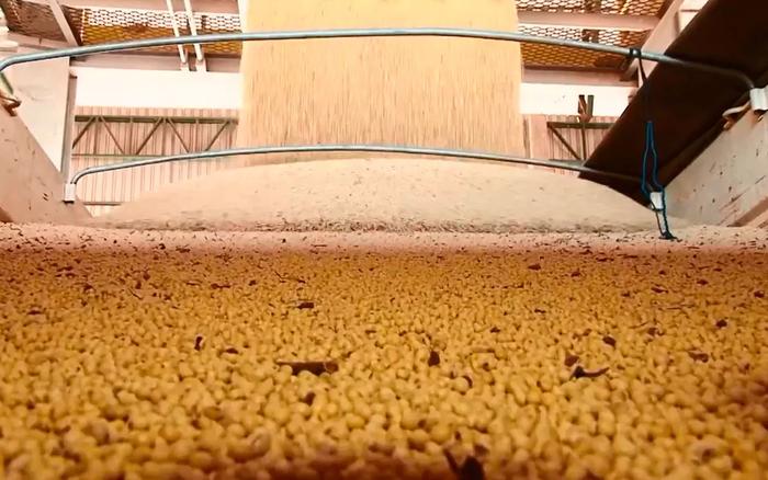 Com isenção de tarifa de importação, EUA vendem carga de soja ao Brasil
