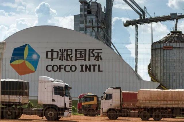 China bate recorde de esmagamento de soja
