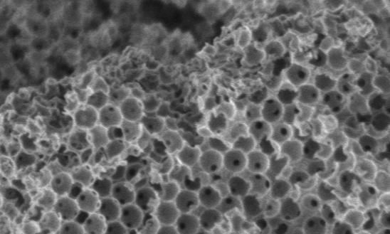 Pesquisadores australianos desenvolvem novo catalisador para biodiesel
