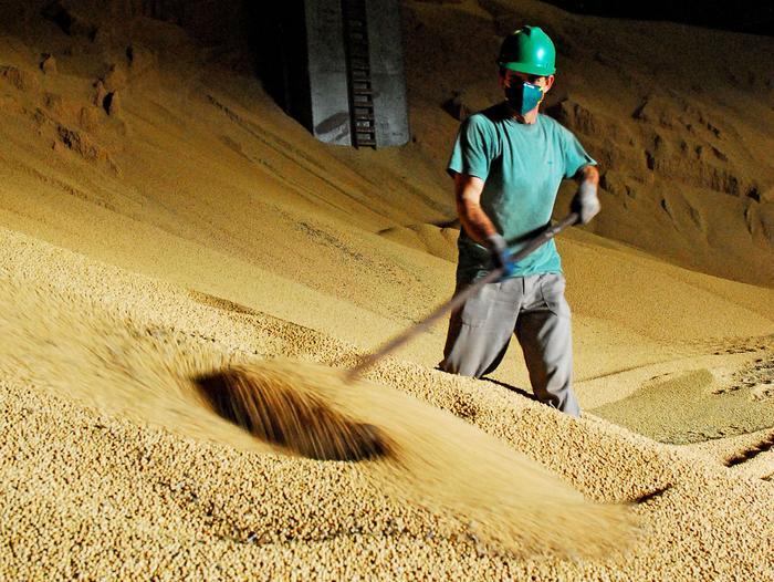 Importação de óleo para biodiesel divide indústria