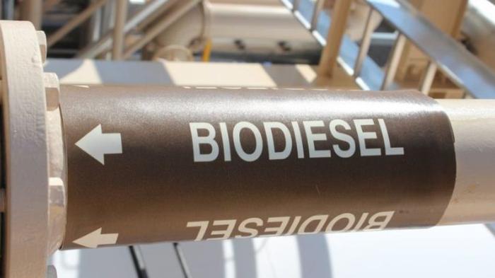 Capacidade habilitada no L77 será a maior de todos os leilão de biodiesel 