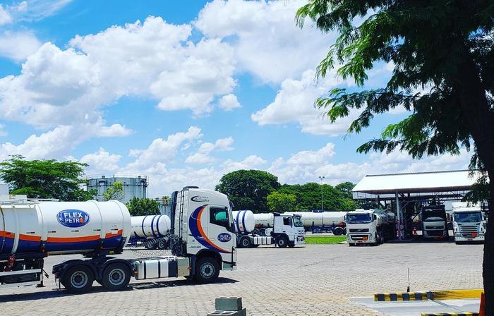 Distribuidora Flexpetro consegue suspender meta de compras de CBios
