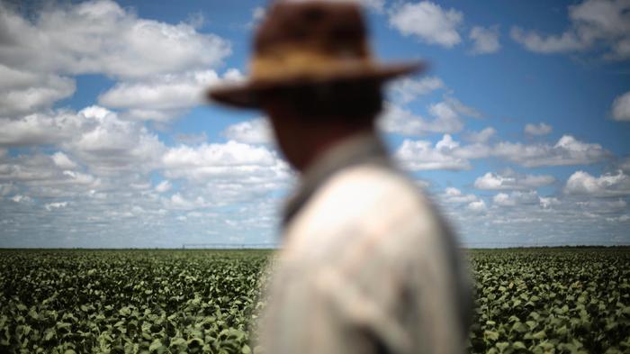 Agricultura edita portaria que regulamenta participação de cerealistas no Selo Social