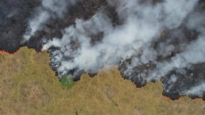 Novas metas de Salles para o Acordo de Paris liberam mais emissões no Brasil, aponta Observatório do Clima