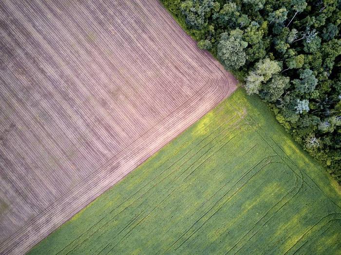 Soja em desacordo com moratória na Amazônia tem alta de 23% na safra 2019/20, diz associação