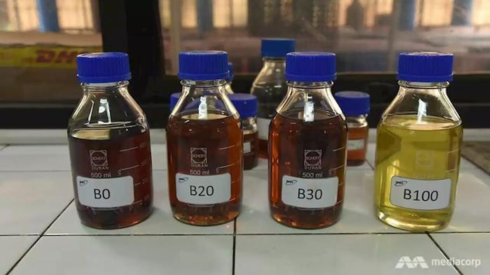 Indonésia deve reduzir meta de consumo de biodiesel 