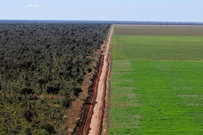 Monocultura da soja destruiu mais de 30% do cerrado brasileiro entre 2004 e 2017, alerta WWF