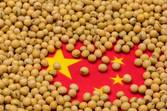 Importações chinesas de soja americana cresceram 53% em 2020, diz agência