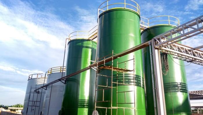 BBF anuncia instalação de extrusora de soja no Pará e investimentos em palma