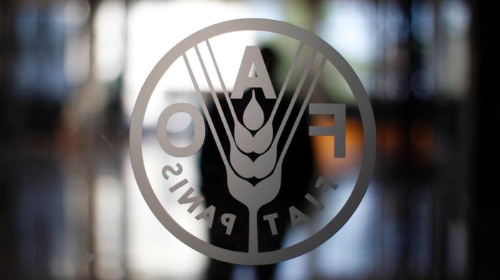 Óleos vegetais se valorizaram 78,3% em oito meses
