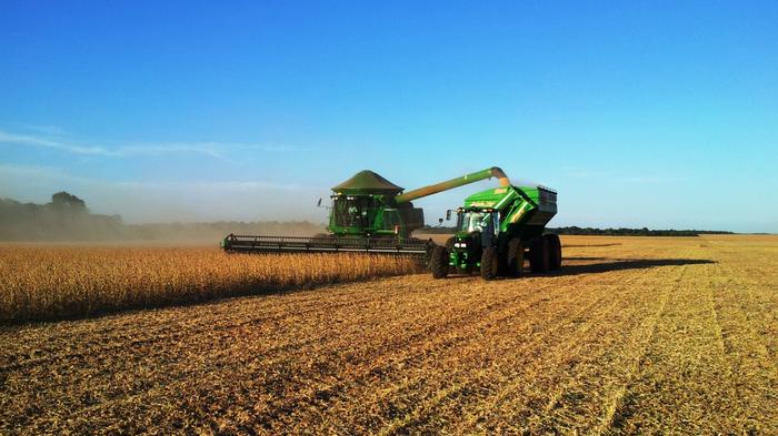 Colheita da soja segue atrasada e apenas 45,7% da área foi recolhida no país