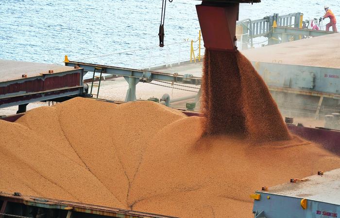 Soja vai gerar US$ 45 bilhões em exportações neste ano