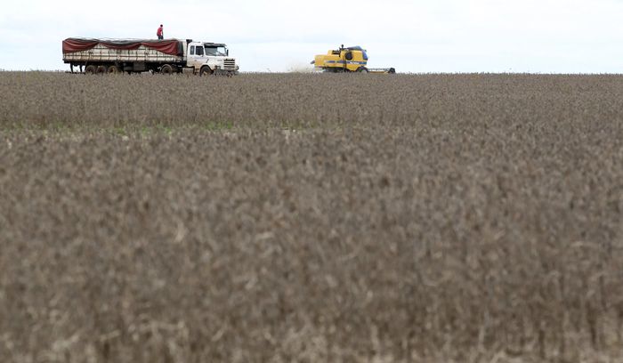 Soja: Brasil pode fechar 2021 com recorde na exportação e estoque um pouco maior
