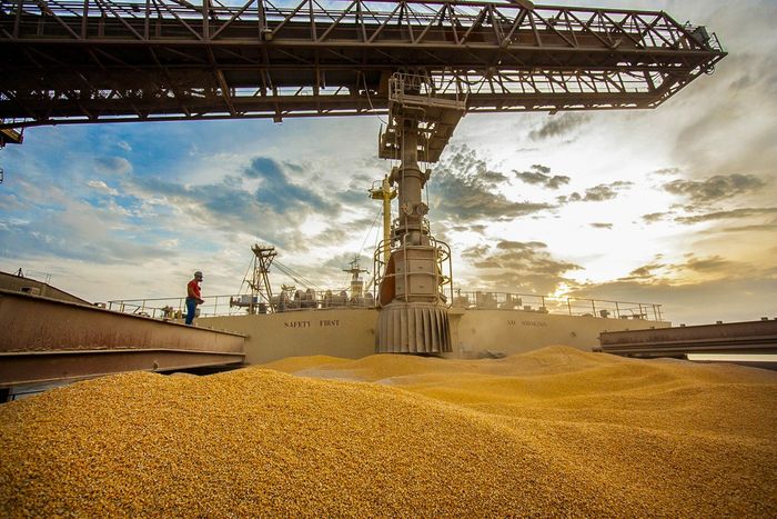 Exportações de soja renderam inéditos US$ 5,35 bi em março
