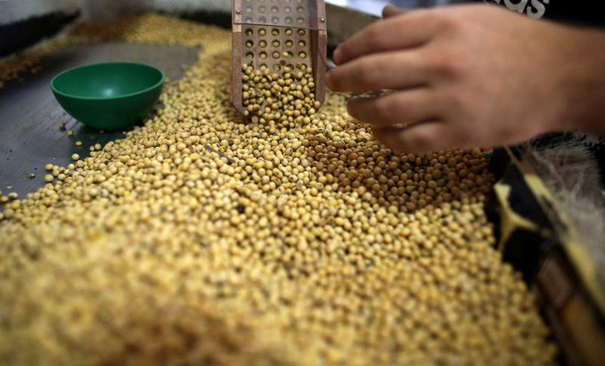 Óleo de soja afunda após Brasil reduzir mistura de biodiesel