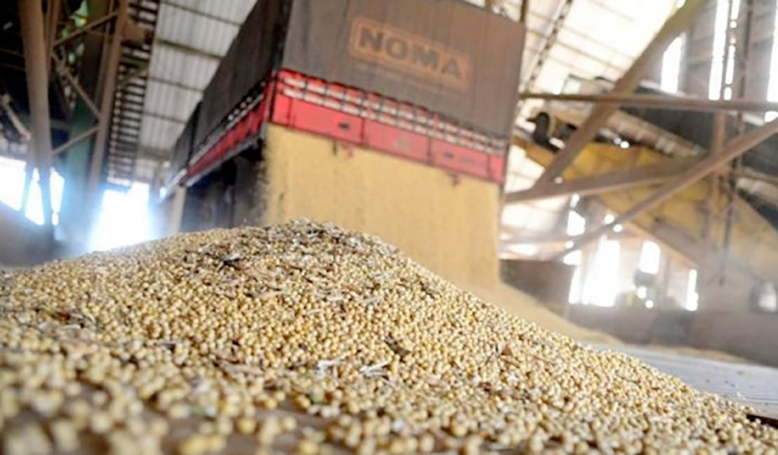 Redução na mistura do biodiesel para 10% pode levar esmagamento de soja do BR a níveis de 2019