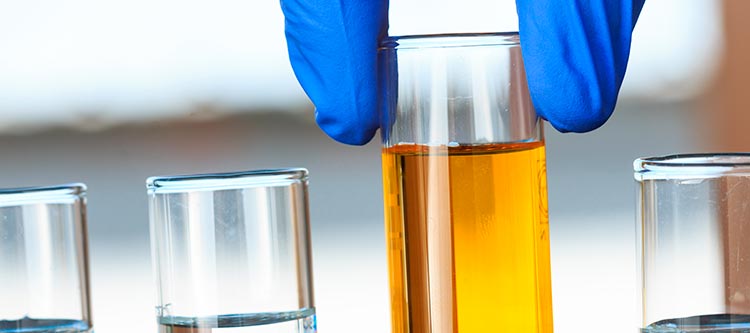 Grupo de 9 entidades empresariais se posicionam contra novos aumentos da adição de biodiesel