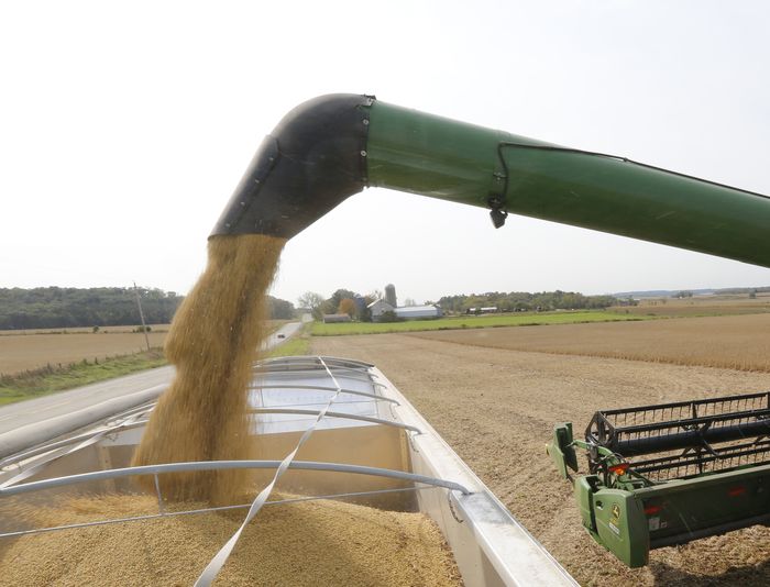 Esmagamento de soja nos EUA fica abaixo do esperado em abril, aponta Nopa