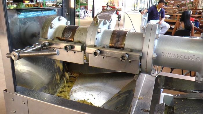 MT: esmagamento de soja chega a 956,08 mil toneladas