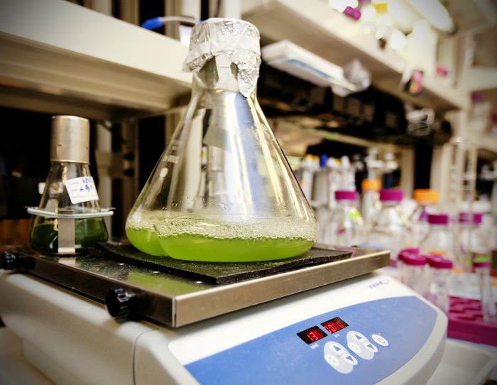 Estudo destaca o papel dos biocombustíveis na redução da emissão de carbono