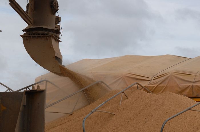 StoneX prevê exportação recorde de soja pelo Brasil e safra de milho 17% menor
