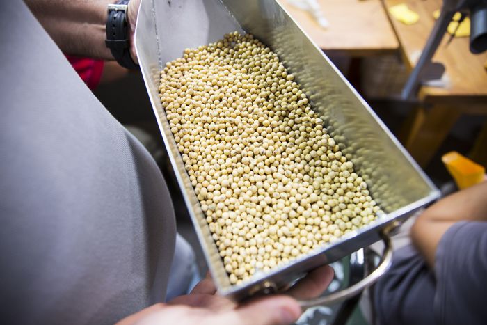 Processamento de soja na Argentina atinge maior nível em 6 anos em abril